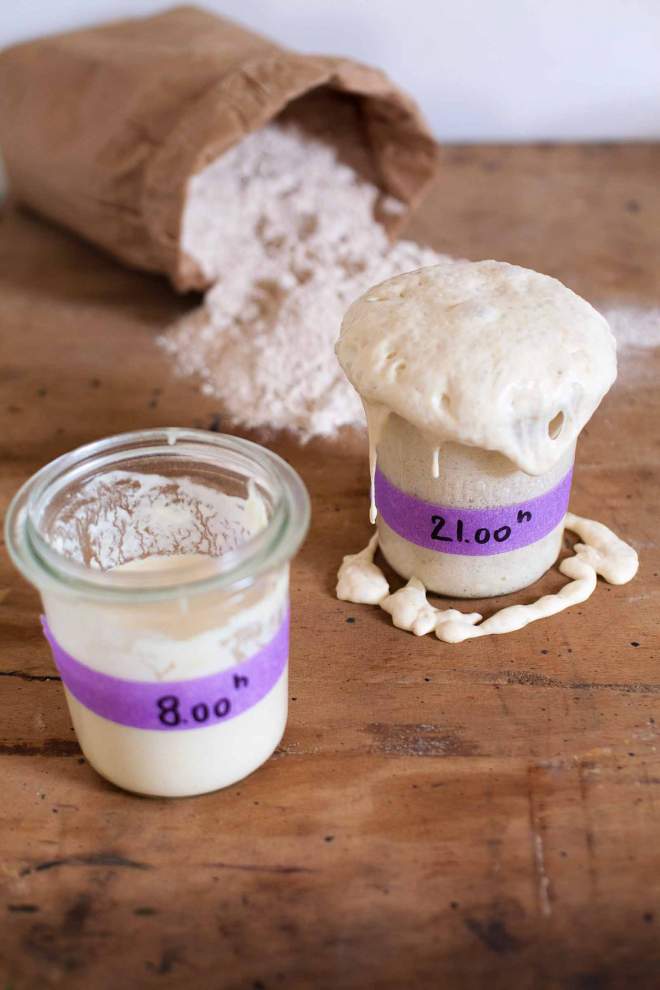 Active Whole wheat Sourdough starter in a glass jar