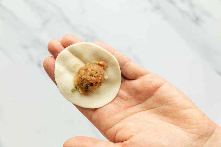 wrapping Gyoza Dumplings