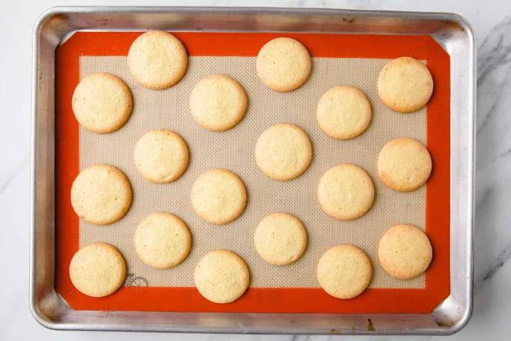 Making sponge cakes for Jaffa Cakes
