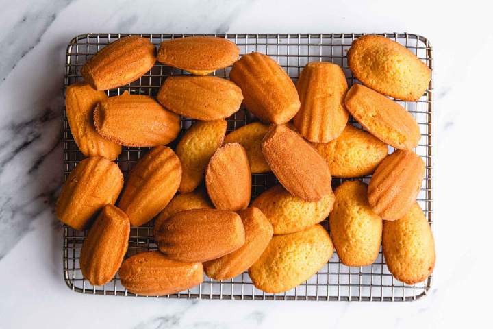 Orange Hazelnut Madeleines