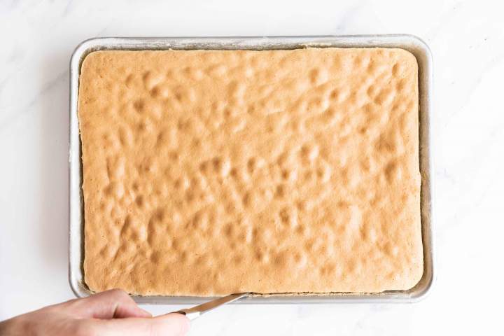 Baked sponge cake for swiss roll