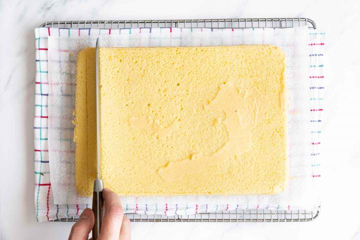 sponge cake for swiss roll cake
