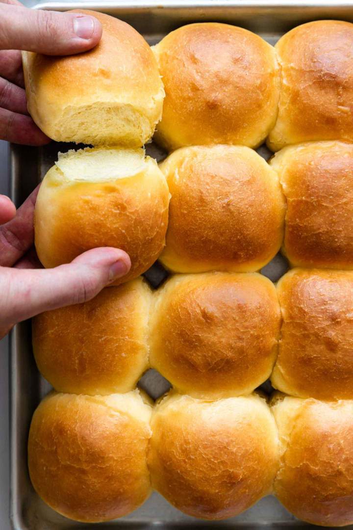 Soft Dinner Rolls