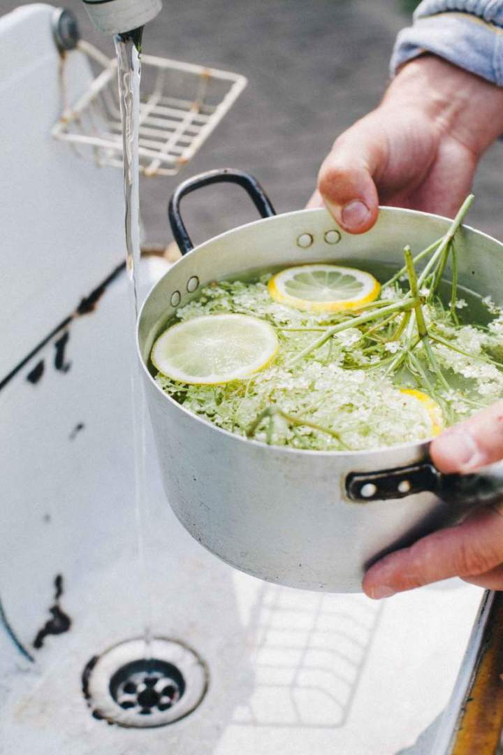 Preparation of Elderflower cordial, cleaning the elderflower