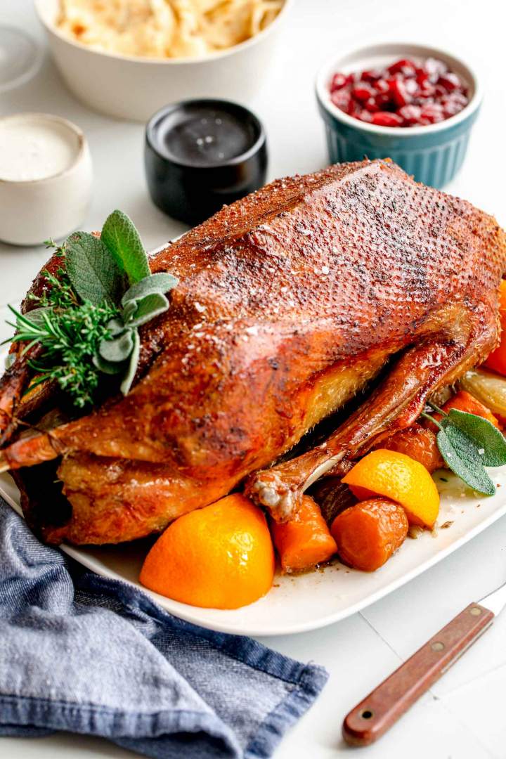 Goska z brusničnim džemom