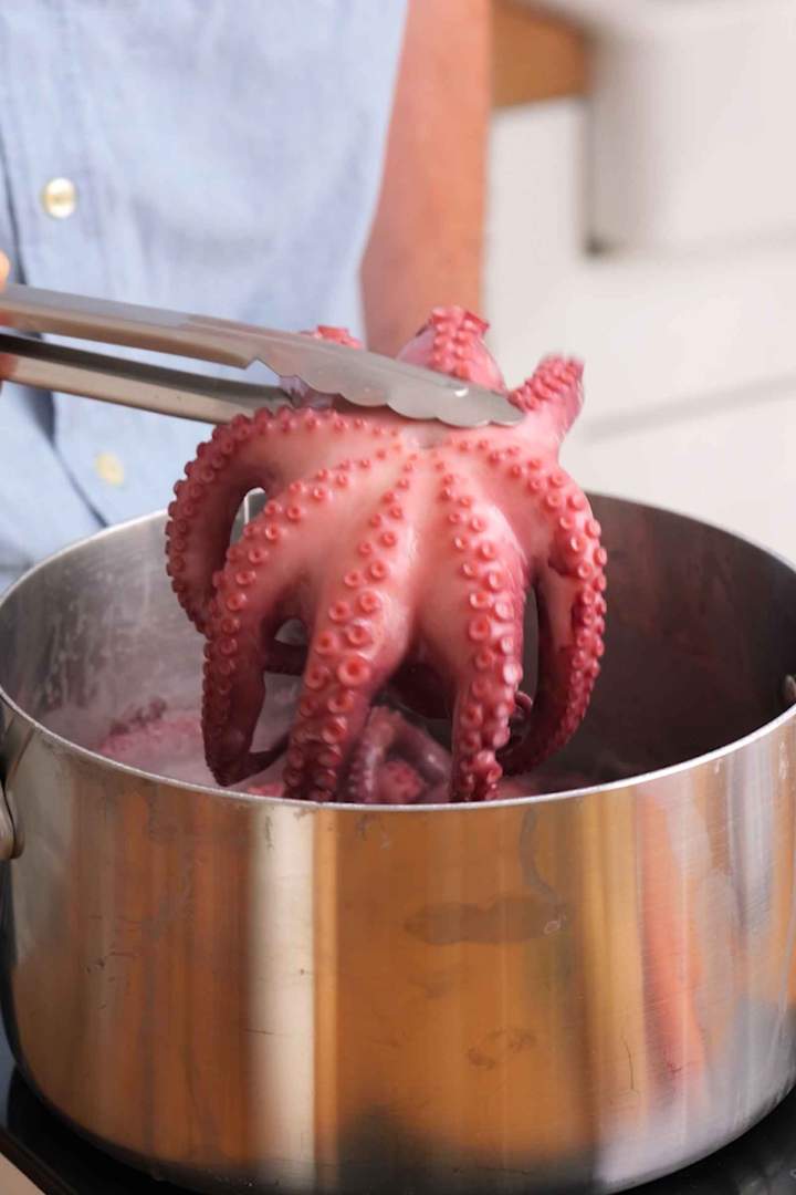 Octopus Baked Under the Bell (Izpod peke)