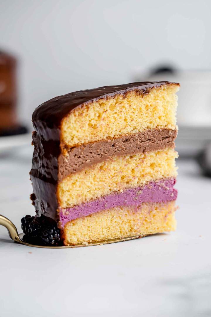 Nutellina torta z robidami