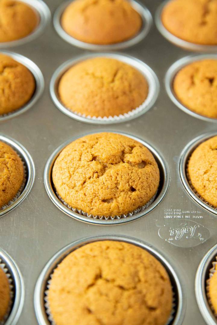 easy pumpkin muffin recipe