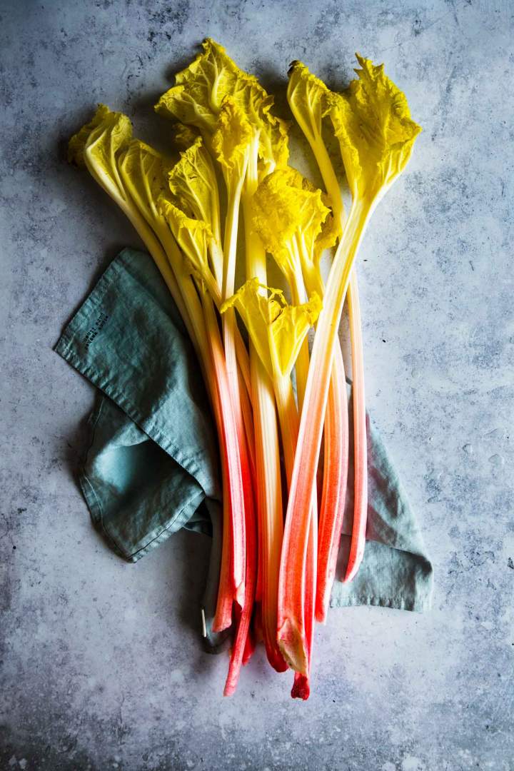 Rhubarb