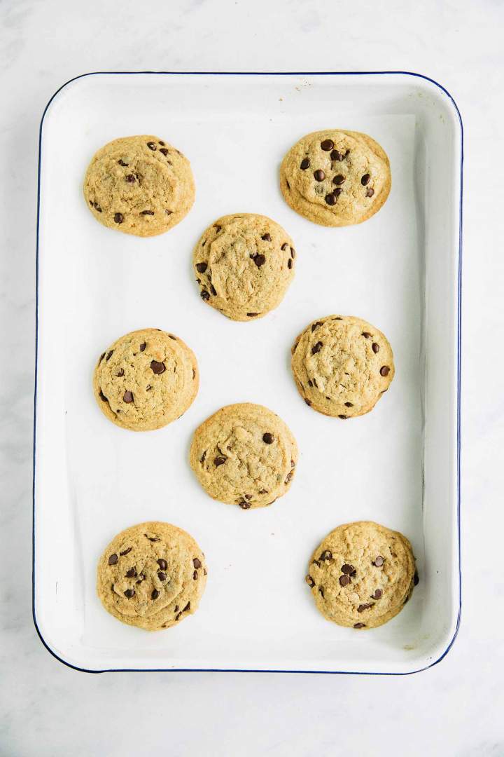 Whole Wheat Soft Chewy Chocolate Chip Cookies